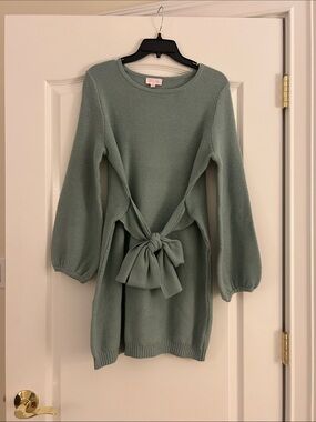 Pink Lily Sage Green Crewneck Waist-Tie Sweater Dress